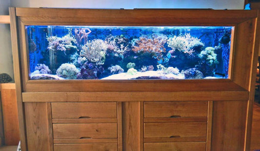 Aquarium Récifal Haut de Gamme Habillage Bois Sur Mesure – Occasion