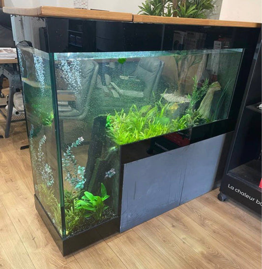 Aquarium Comptoir / Bar d'Eau Douce - Occasion