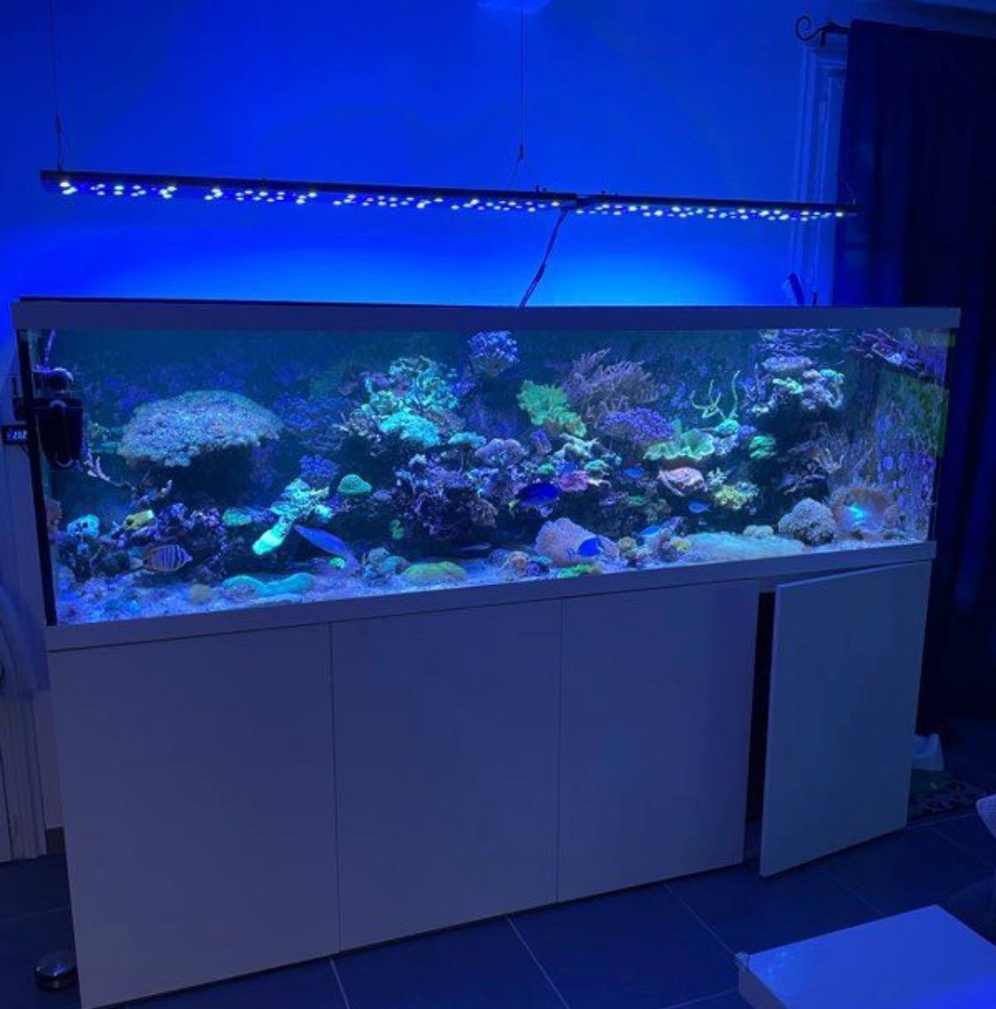 Aquarium Récifal Blanc Design avec Éclairage LED Suspendu – Occasion