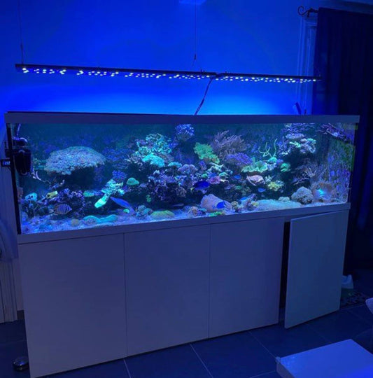 Aquarium Récifal Blanc Design avec Éclairage LED Suspendu – Occasion