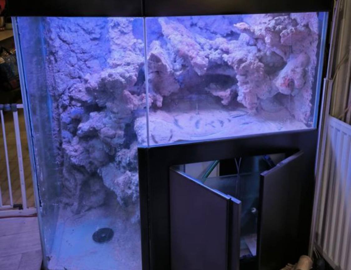 Aquarium Récifal d'Angle avec Décors 3D Synthétiques – Occasio