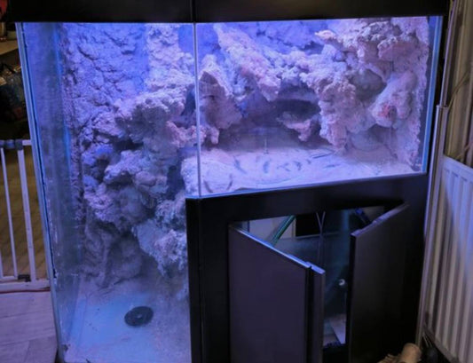 Aquarium Récifal d'Angle avec Décors 3D Synthétiques – Occasio