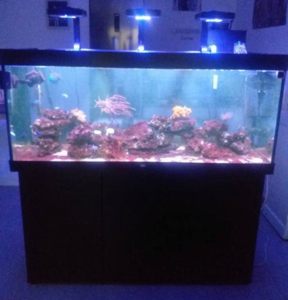 Aquarium récifal d'occasion avec meuble support et éclairage LED