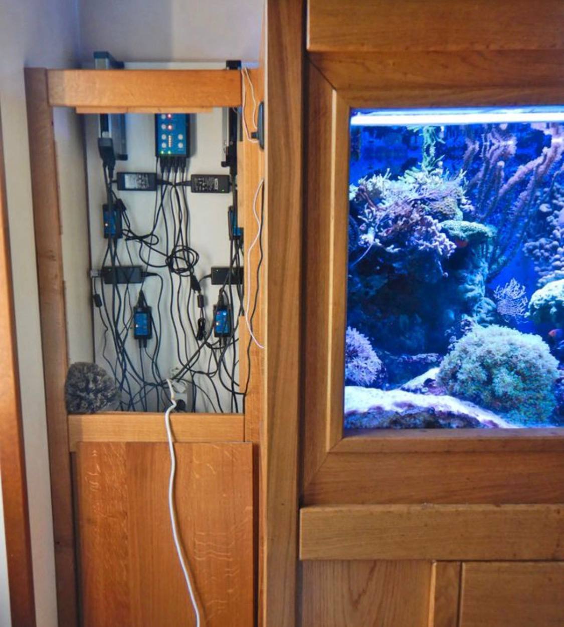 Aquarium Récifal Haut de Gamme Habillage Bois Sur Mesure – Occasion