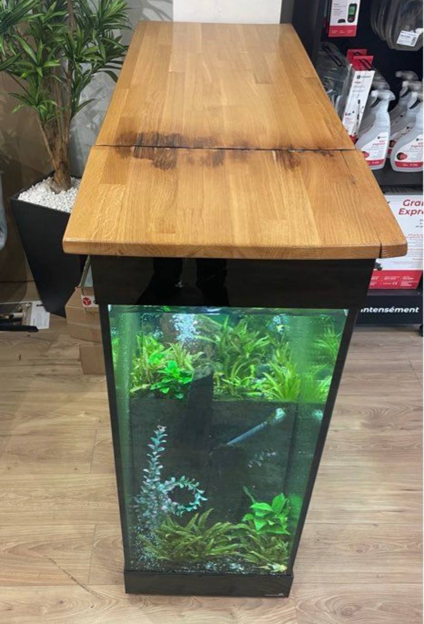 Aquarium Comptoir / Bar d'Eau Douce - Occasion
