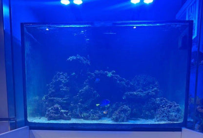 Aquarium Récifal Format Cube – Occasion