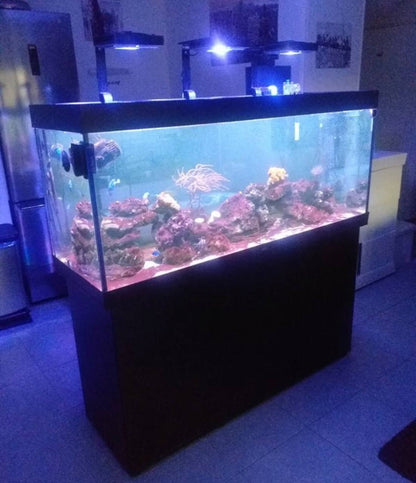 Aquarium récifal d'occasion avec meuble support et éclairage LED