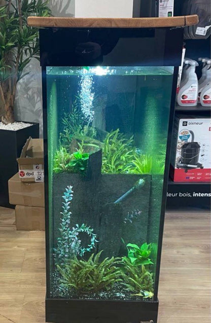 Aquarium Comptoir / Bar d'Eau Douce - Occasion