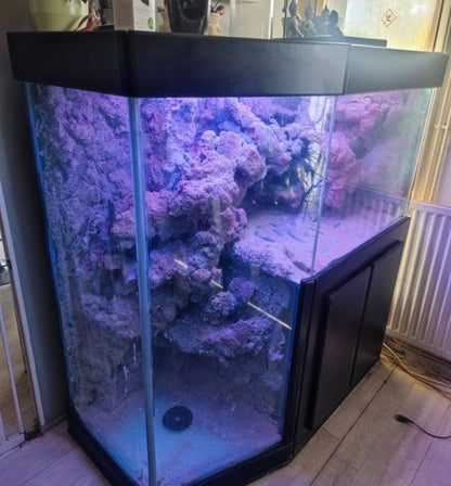 Aquarium Récifal d'Angle avec Décors 3D Synthétiques – Occasio