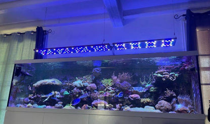 Aquarium Récifal Blanc Design avec Éclairage LED Suspendu – Occasion